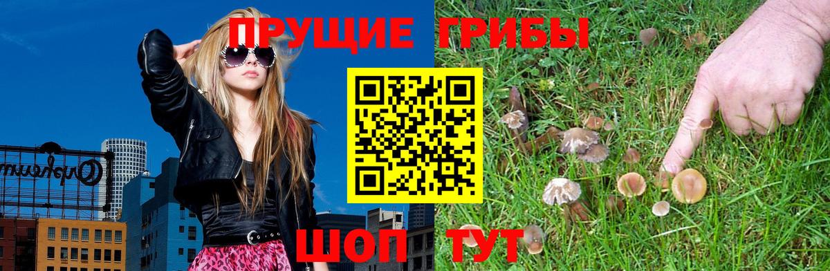 Геленджик  Галлюциногенные грибы Cubensis  Вход с VPN 