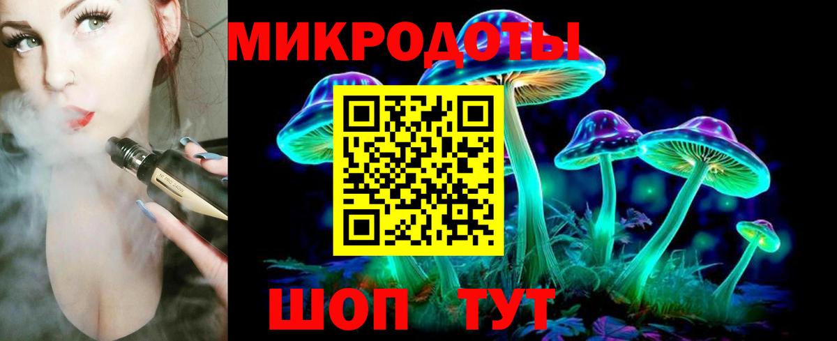 Псилоцибиновые грибы мицелий Геленджик